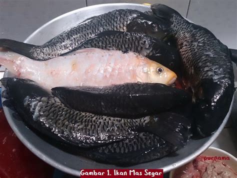 Ramadan bikin malas gerak.malas kerja.malas belanja di supermarket. Resep Ikan Mas Arsik, Masakan Khas Batak oleh Purnama ...