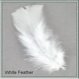 Spiritual meaning of a white feather. 67 Not Out: The Meaning Of White Feathers As Messages From ...