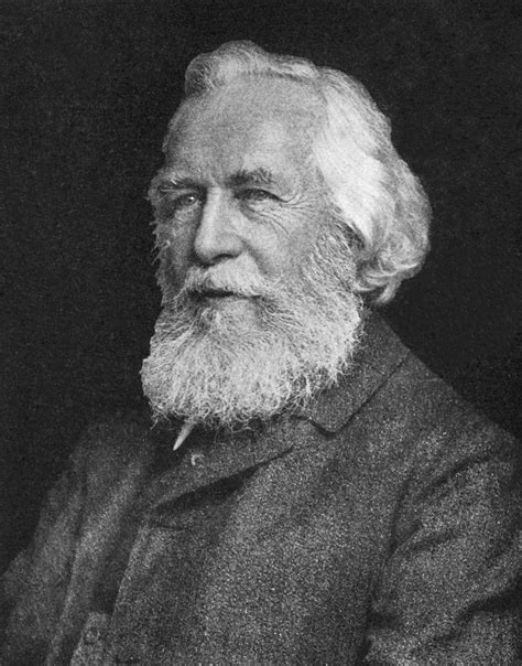 Ernst Haeckel Wikipedia
