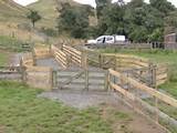 Pictures of Small Sheep Yard Design