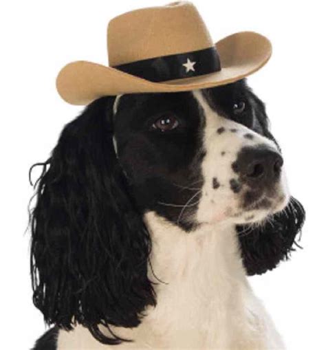 Cowboy Hat Western Sheriff Cute Halloween Pet Dog Cat Costume Accessory
