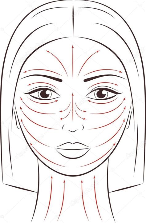 Female Face Massage Lines — Stock Vector © Pushinka11 98642910