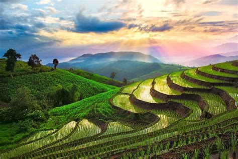 The Awe Inspiring Beauty Of Rice Terraces Worldatlas