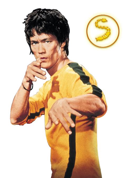 Bruce Lee Png Transparent Image Download Size 506x719px