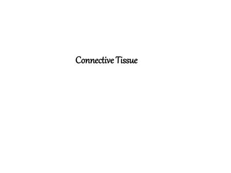Ppt Connective Tissue Powerpoint Presentation Free Download Id2764271