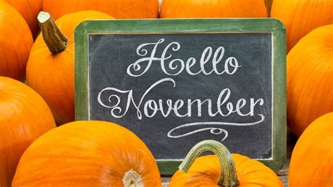 12 November Holidays You Never Knew About But May Need To Celebrate