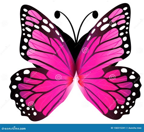Pink Butterfly Isolated On White Background Illustration Design Stock