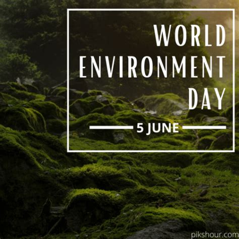 The most important thing is that every human being today should make. 32+ World Environment day 2021 - PiksHour Important days