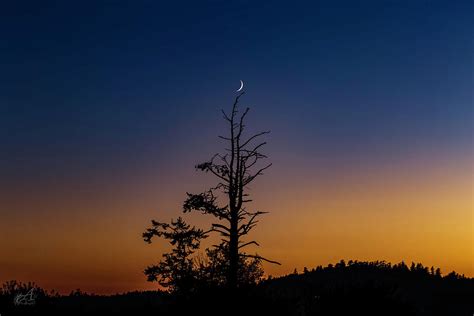 Crescent Moon Photograph By Thomas Ashcraft Fine Art America