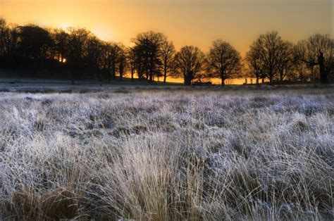 Frosty Winter Landscape Across Field At Sunrise Stock Image Image Of