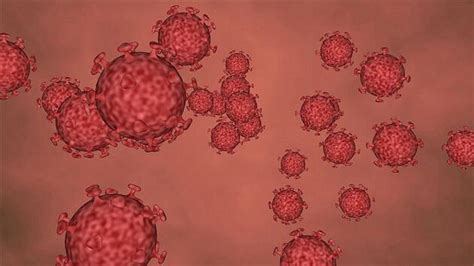 Bu araştırmanın sonucuna göre virüste bir değişiklik saptandı. Koronavirüs mutasyona uğradı | Güncel Blog Sitesi