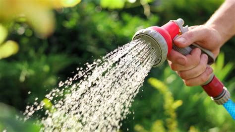 How To Use The Different Spray Settings On Your Garden Hose Lrn2diy