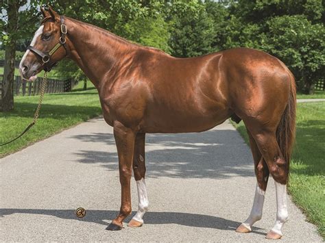 Transfer money between accounts domestically and internationally**. Free Drop Billy - Stallion Register Online