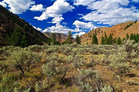 Sawtooth National Forest Landscape In Idaho Image Free Stock Photo