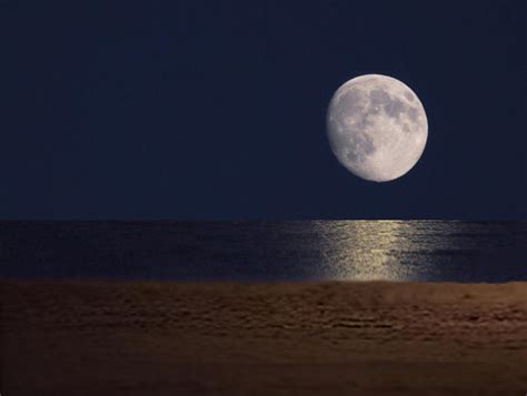 Moonlight Path Photograph By Art Spectrum