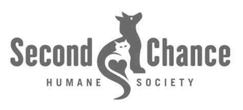 Second chance animal sanctuary, 4500 24th ave nw, norman, oklahoma rescues abandoned cats and dogs, provides care, vet services and finds them homes. Stories of Success | Dennis Friends Foundation