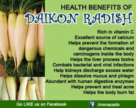 Daikon Radish Recipes