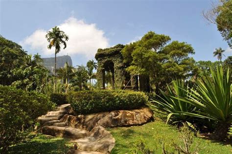 The right pronunciation of botanical garden. Rio botanical gardens | Brazil tourism, Brazil travel ...