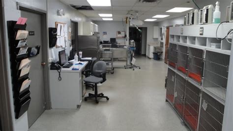 Our offerings range from routine preventative care to advanced diagnostics, laser therapy, orthopedic surgery, dentistry, behavioral and nutritional counseling, and boarding. VCA Advanced Veterinary Care Center in Fishers, 7712 ...