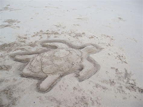 Photo Of Turtle Sculpture Free Australian Stock Images