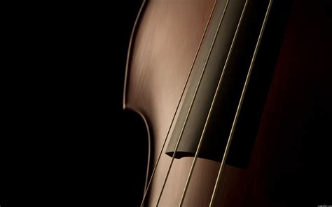 Violin Full Hd Wallpaper And Background 2560x1600 Id111925