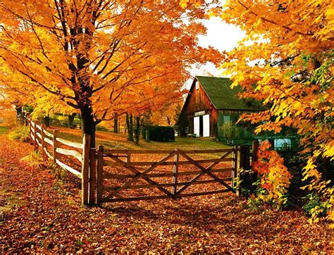 Solve Autumn Barn Scenery Jigsaw Puzzle Online With 80 Pieces