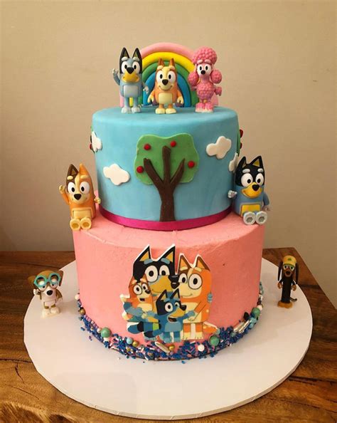 Bluey And Bingo Birthday Cake Ideas