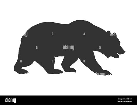 Brown Grizzly Bear Silhouette Side View Vector Isolated On White