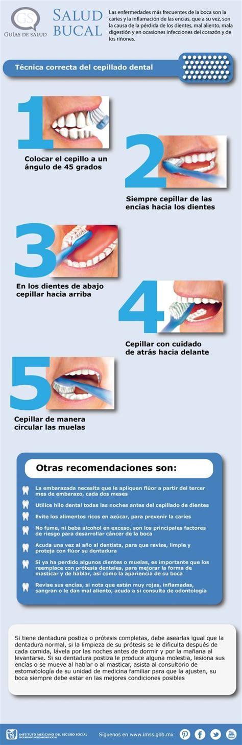 Salud Bucal Técnica Correcta Cepillado Dental Cepillado Dental