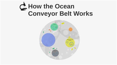 How The Ocean Conveyor Belt Works By Payton Harvey