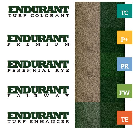 What Is The Best Colorant For Your Grass Type Endurant Turf Paint