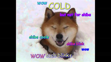  cold (doge meme) - YouTube