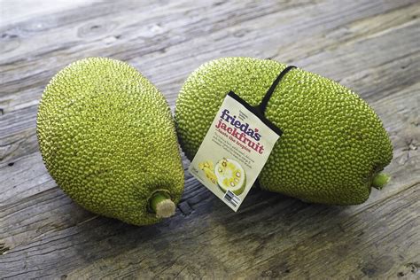 Ginormous Jackfruit Everything You Need To Know