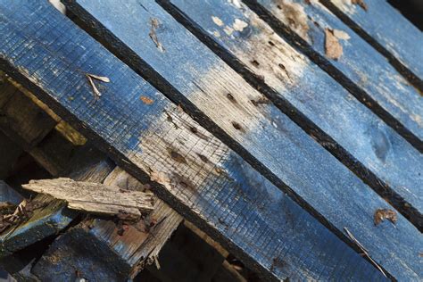 Pallet A Broken Pallet I Found At Work Ajhosgood Flickr