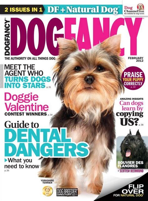 Magazine Subscription Deals Compare Prices Fancy Dog Natural Dog