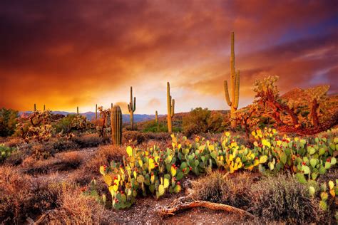 Arizona Desert Sunset Superstition Mountains 8 X 10 Photo Etsy