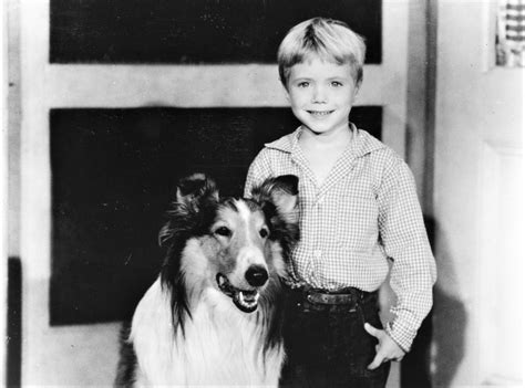 No Little Timmy Never Fell Down A Well On Lassie The Sumter Item