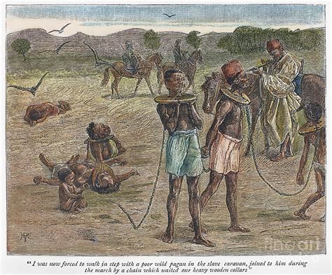 Africa Slave Trade Photograph By Granger