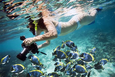 Underwater Photography To Get Inspire