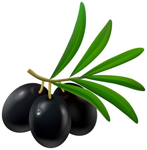 Black Olives Png Transparent Image Download Size 2940x3000px