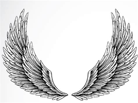 Wing Tattoo Meaning Ideas Images