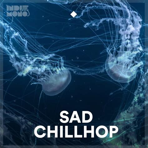 Chillhop Lo Fi Hip Hop Sad Vibes Spotify Playlists Indiemono