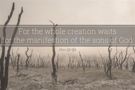 The Earth Mourns And Waits For The Manifestation Of The Sons Of God