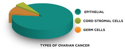 Ovarian cancer mainly develops in older women who have experienced menopause (usually over the age of 50), but it can the ovaries are also the main source of the female hormones estrogen and progesterone. The Clearity Foundation | Ovarian Cancer Basics