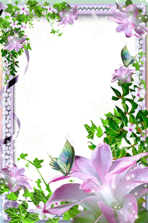 Beautiful Transparent Photo Frame With Flowers Flower Frame Borders