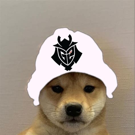 G2 Esports Dogwifhat In 2020 Esports Image Know Your Meme