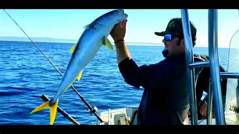 Pesca De Jurel Yellowtail Fishing Youtube