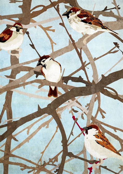 Wall Art Sparrows By Katherine Blower Premium Poster A4 21 X 30