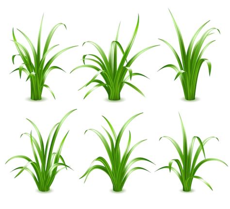 Green Grass Texture Free Vector