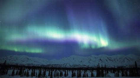 Denali National Park Alaska Northern Lights Wallpapers